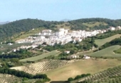 Terreno no urbanizable en venta en la España, Villamartín, ref: TR203443 foto