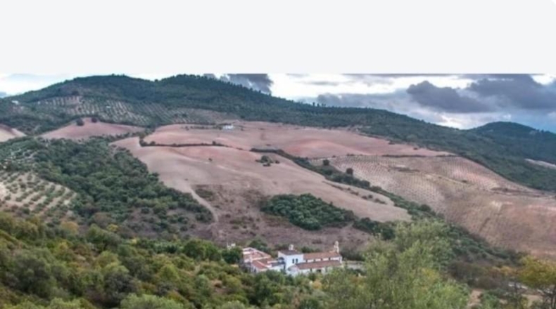 Cádiz - Villamartín - 150000m2