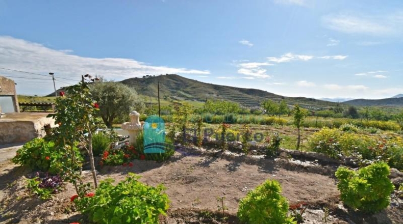 Murcia - Cartagena - 8385m2