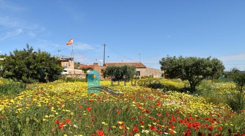 Murcia - Cartagena - 8385m2