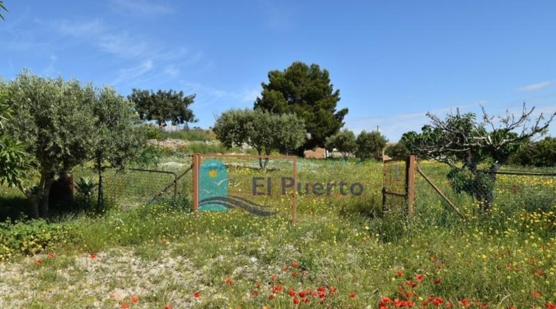 Murcia - Cartagena - 8385m2