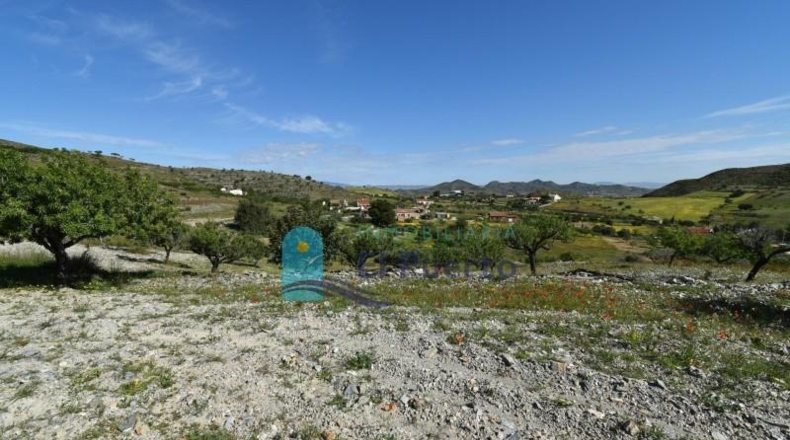 Murcia - Cartagena - 8385m2