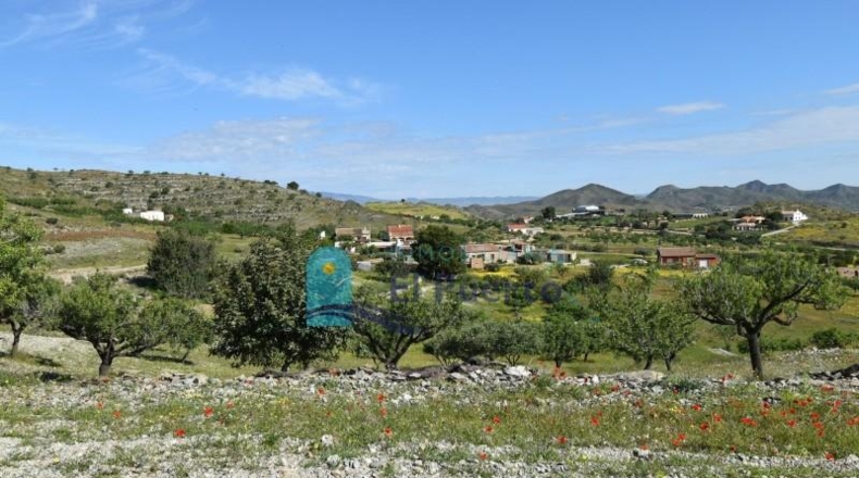 Murcia - Cartagena - 8385m2