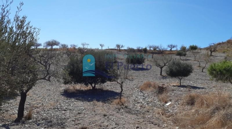 Murcia - Cartagena - 8385m2