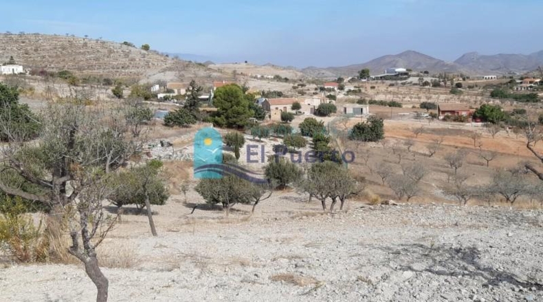 Murcia - Cartagena - 8385m2