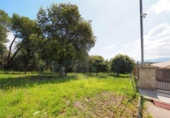Non-developable land for sale on España, Cànoves, ref: TR236334 photo
