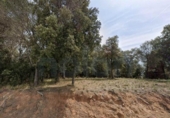 Non-developable land for sale on España, Cànoves, ref: TR236334 photo