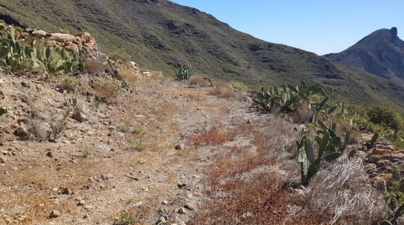 Santa Cruz de Tenerife - Arona - 80978m2