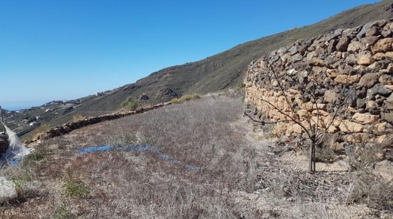 Santa Cruz de Tenerife - Arona - 80978m2