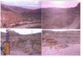 Terreny no urbanitzable en venda a la España, El Marchal de Antón López, ref.: TR113818 foto