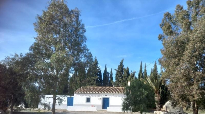 Murcia - Puerto Lumbreras - 3697m2