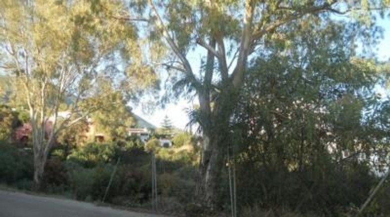 Málaga - Fuengirola - 539m2