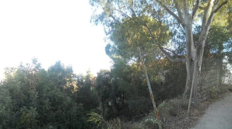Málaga - Fuengirola - 539m2