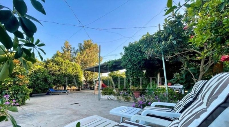 Alicante - Albatera - 14000m2