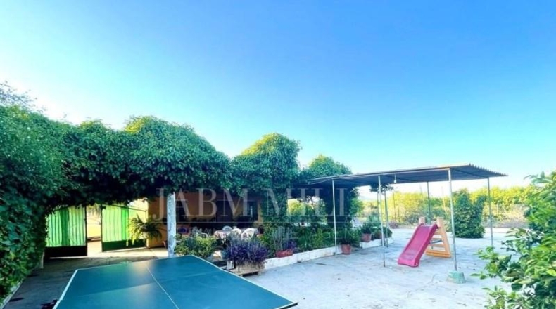 Alicante - Albatera - 14000m2