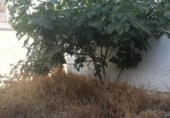 Urban land for sale on España, Picanya, ref: TR340210 photo