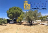 Xalet independent amb terreny en venda a la España, Carmona, ref.: TR316668 foto