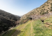 Non-developable land for sale on España, Güéjar Sierra, ref: TR313160 photo
