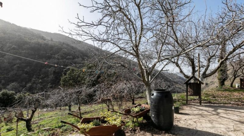 Granada - Güéjar Sierra - 50695m2