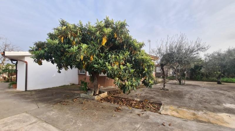 Córdoba - Córdoba - 1555m2