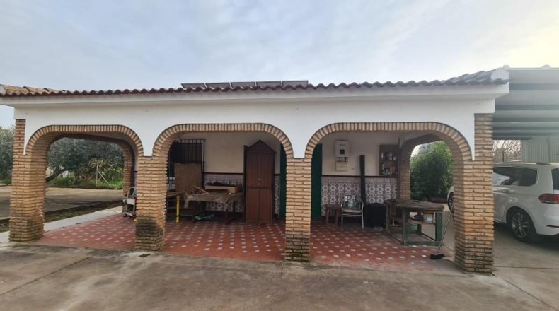 Córdoba - Córdoba - 1555m2