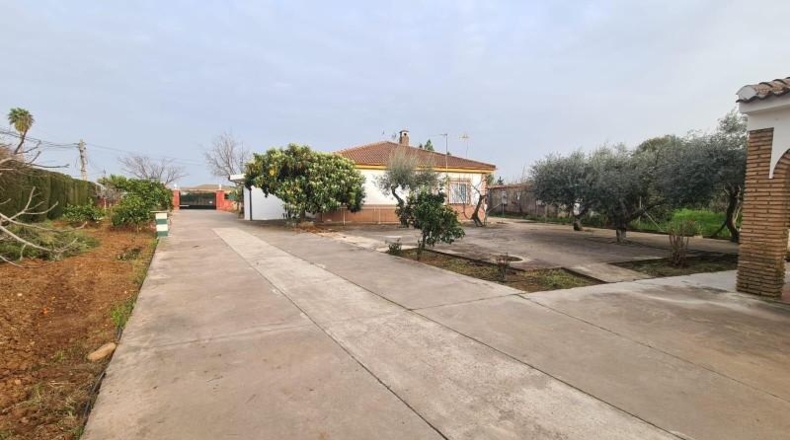 Córdoba - Córdoba - 1555m2