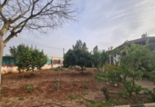Xalet independent amb terreny en venda a la España, Còrdova, ref.: TR219007 foto