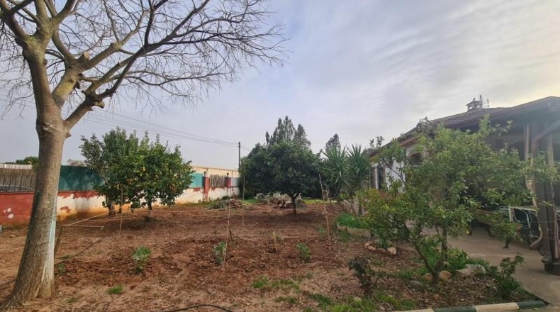 Córdoba - Córdoba - 1555m2