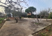 Xalet independent amb terreny en venda a la España, Còrdova, ref.: TR219007 foto