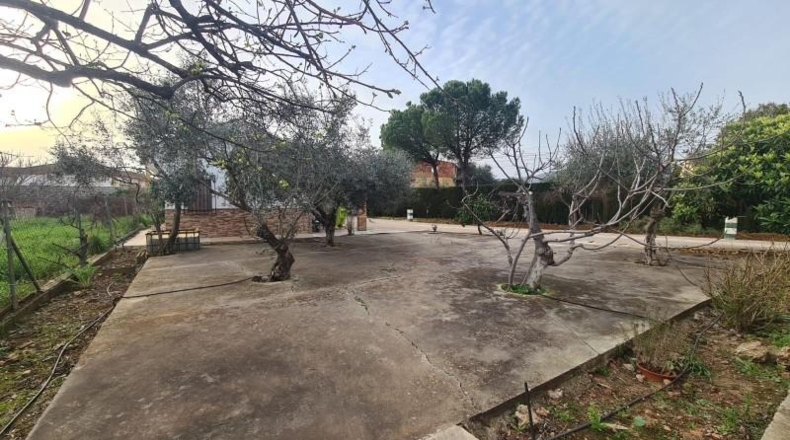 Córdoba - Córdoba - 1555m2