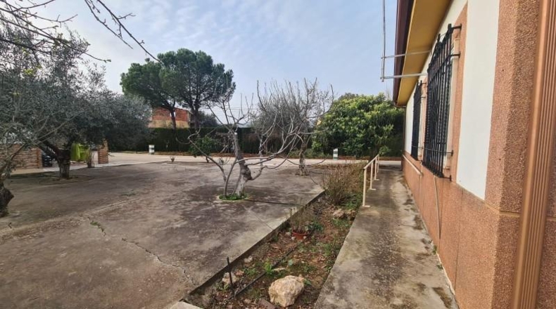 Córdoba - Córdoba - 1555m2