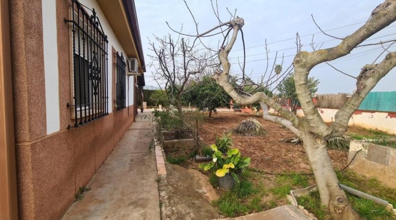 Córdoba - Córdoba - 1555m2