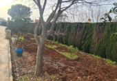 Xalet independent amb terreny en venda a la España, Còrdova, ref.: TR219007 foto