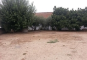 Terreny no urbanitzable en venda a la España, Encinarejo de Córdoba, ref.: TR219011 foto