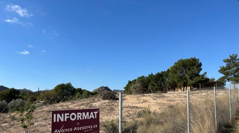 Alicante - Alicante - 2000m2