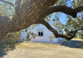 Xalet independent amb terreny en venda a la España, Vélez-Málaga, ref.: TR243894 foto