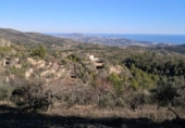 Non-developable land for sale on España, Xaló, ref: TR244242 photo