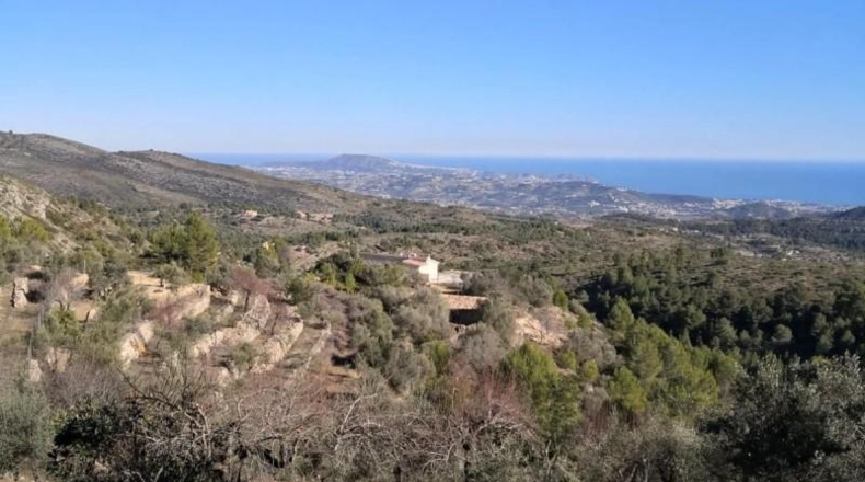 Alicante - Jalón - 34833m2