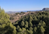 Non-developable land for sale on España, Xaló, ref: TR244242 photo