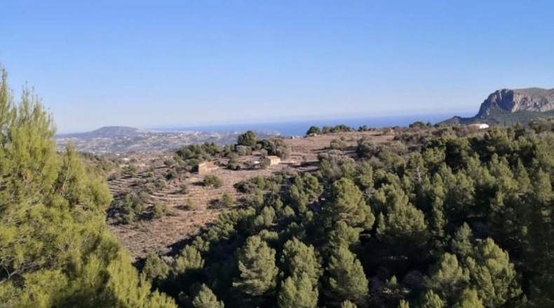 Alicante - Jalón - 34833m2