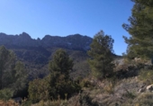Non-developable land for sale on España, Xaló, ref: TR244242 photo