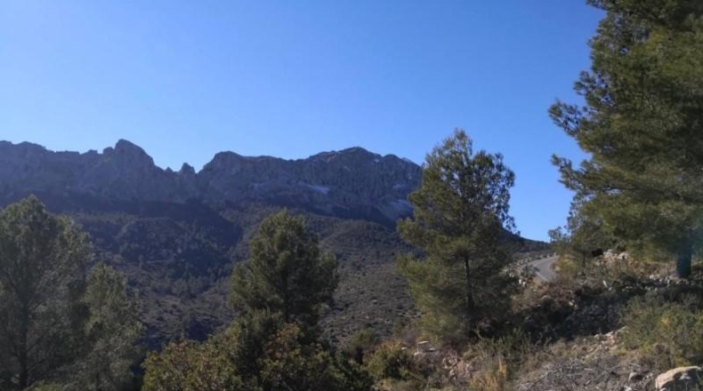 Alicante - Jalón - 34833m2