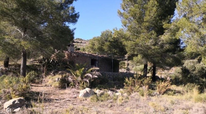Alicante - Jalón - 34833m2