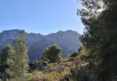 Non-developable land for sale on España, Xaló, ref: TR244242 photo