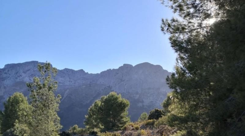 Alicante - Jalón - 34833m2