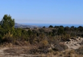 Non-developable land for sale on España, Xaló, ref: TR244242 photo