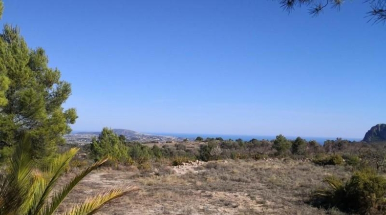 Alicante - Jalón - 34833m2
