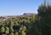 Non-developable land for sale on España, Xaló, ref: TR244242 photo