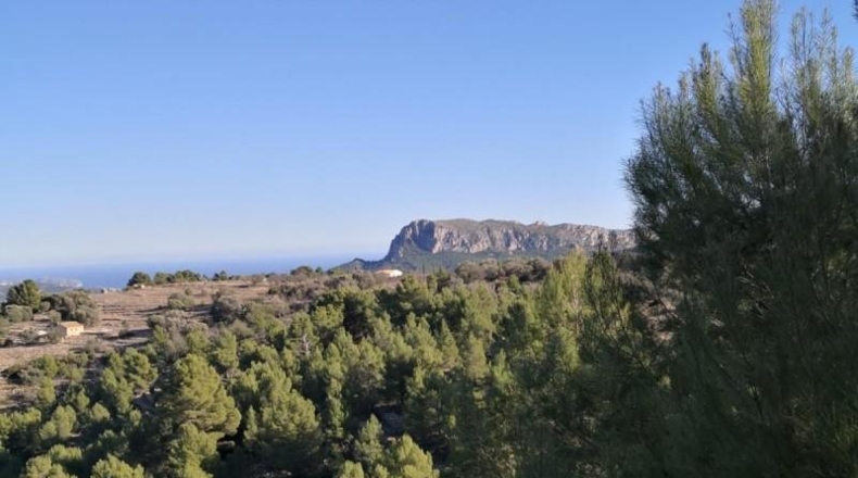 Alicante - Jalón - 34833m2