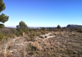 Non-developable land for sale on España, Xaló, ref: TR244242 photo